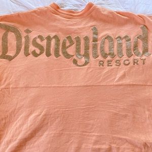Disney Spirit Jersey